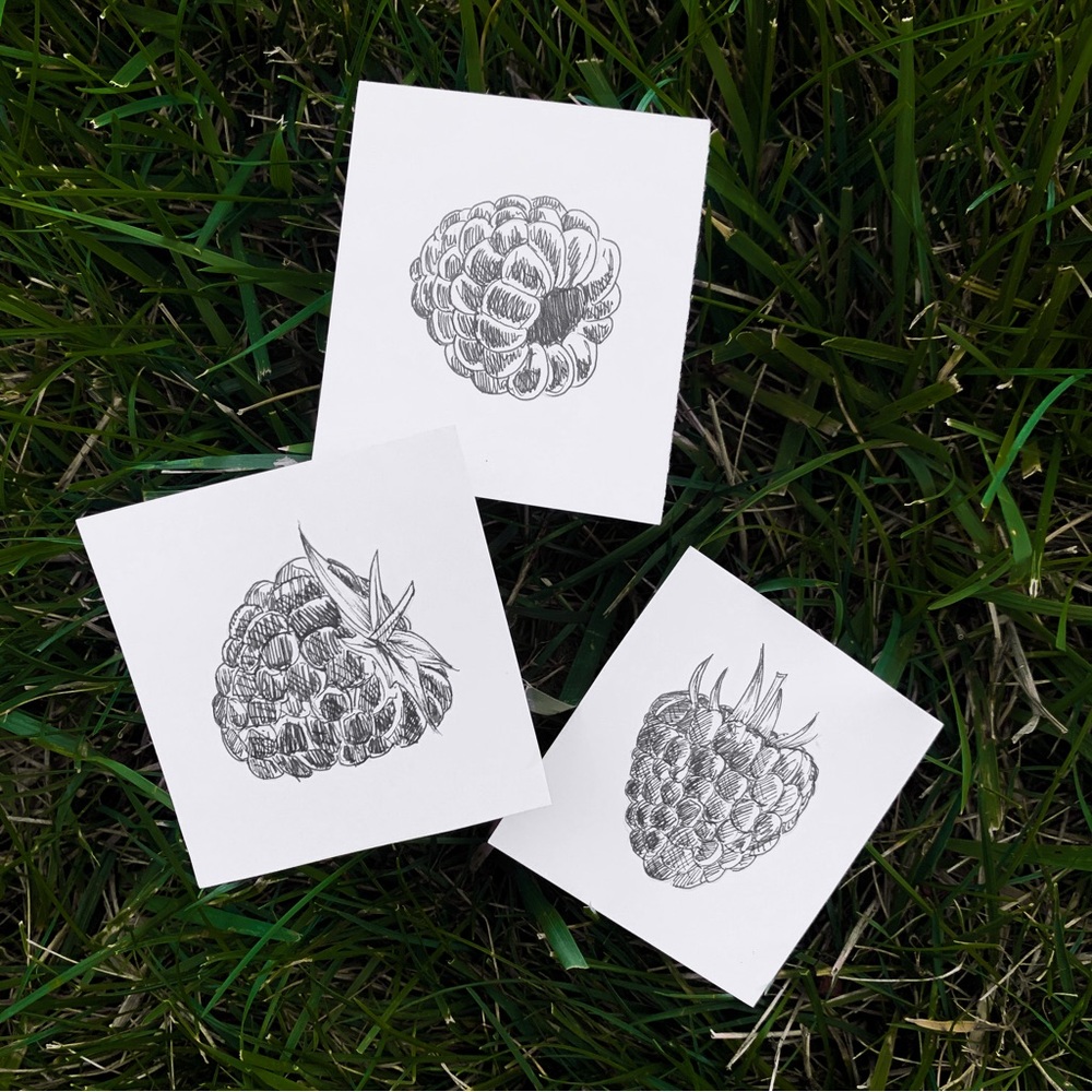 Mini raspberry sketches | minimalist fruit art drawings